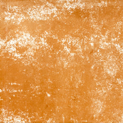 Classic Encaustic Tiles